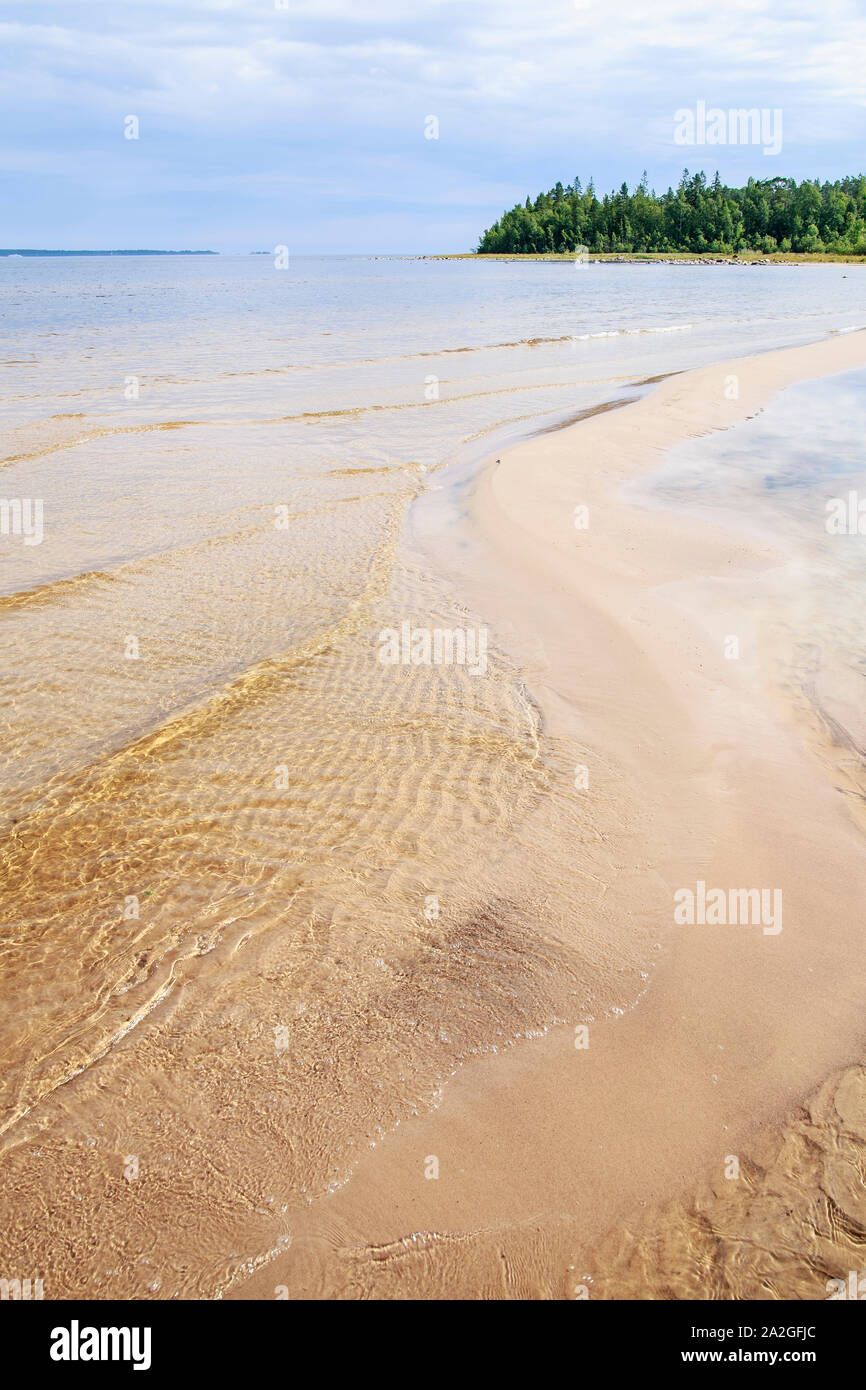 Sandy beach of the sea against a blue sky with clouds and forests Stock ...