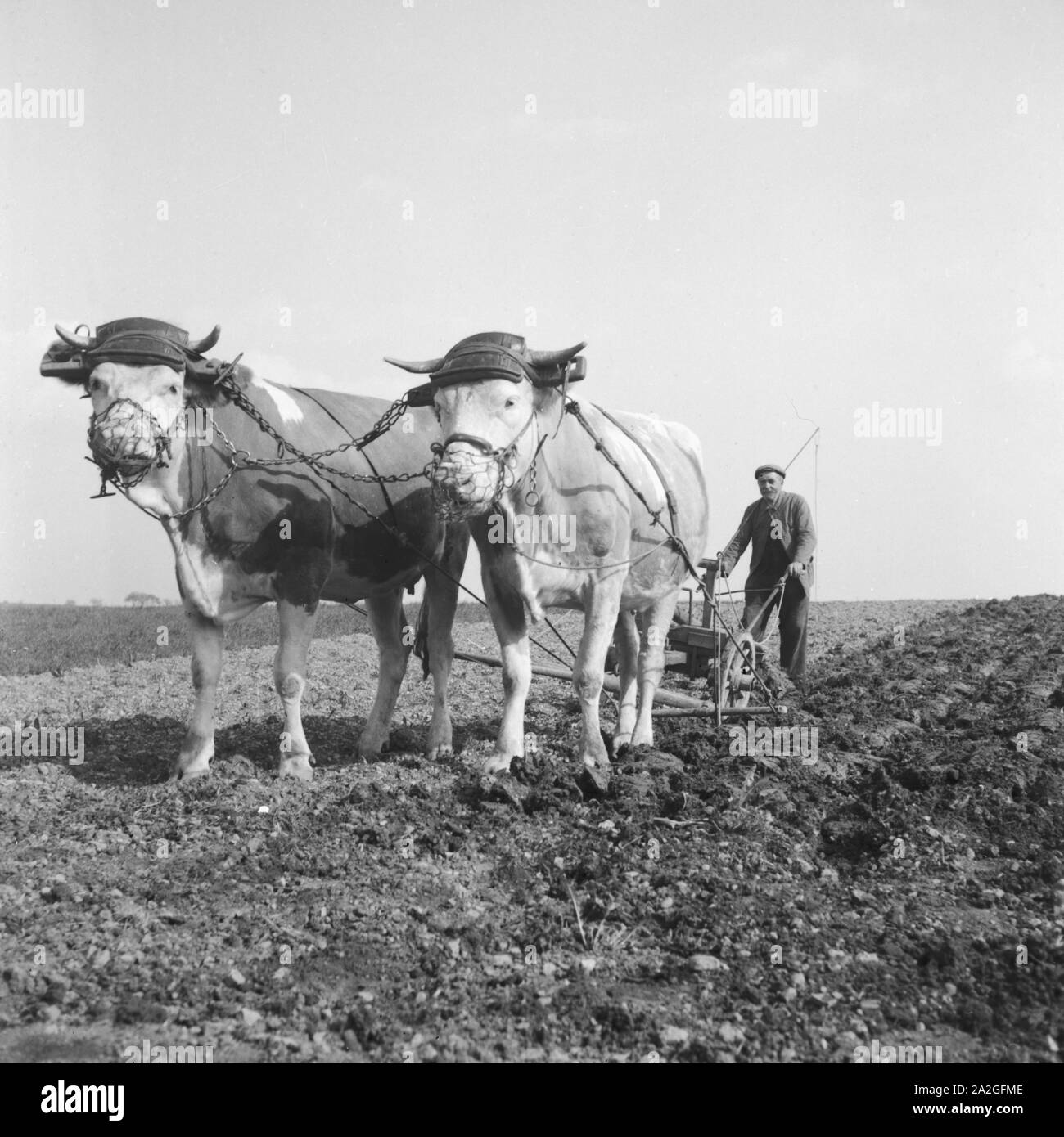 1930s farmer hi-res stock photography and images - Alamy