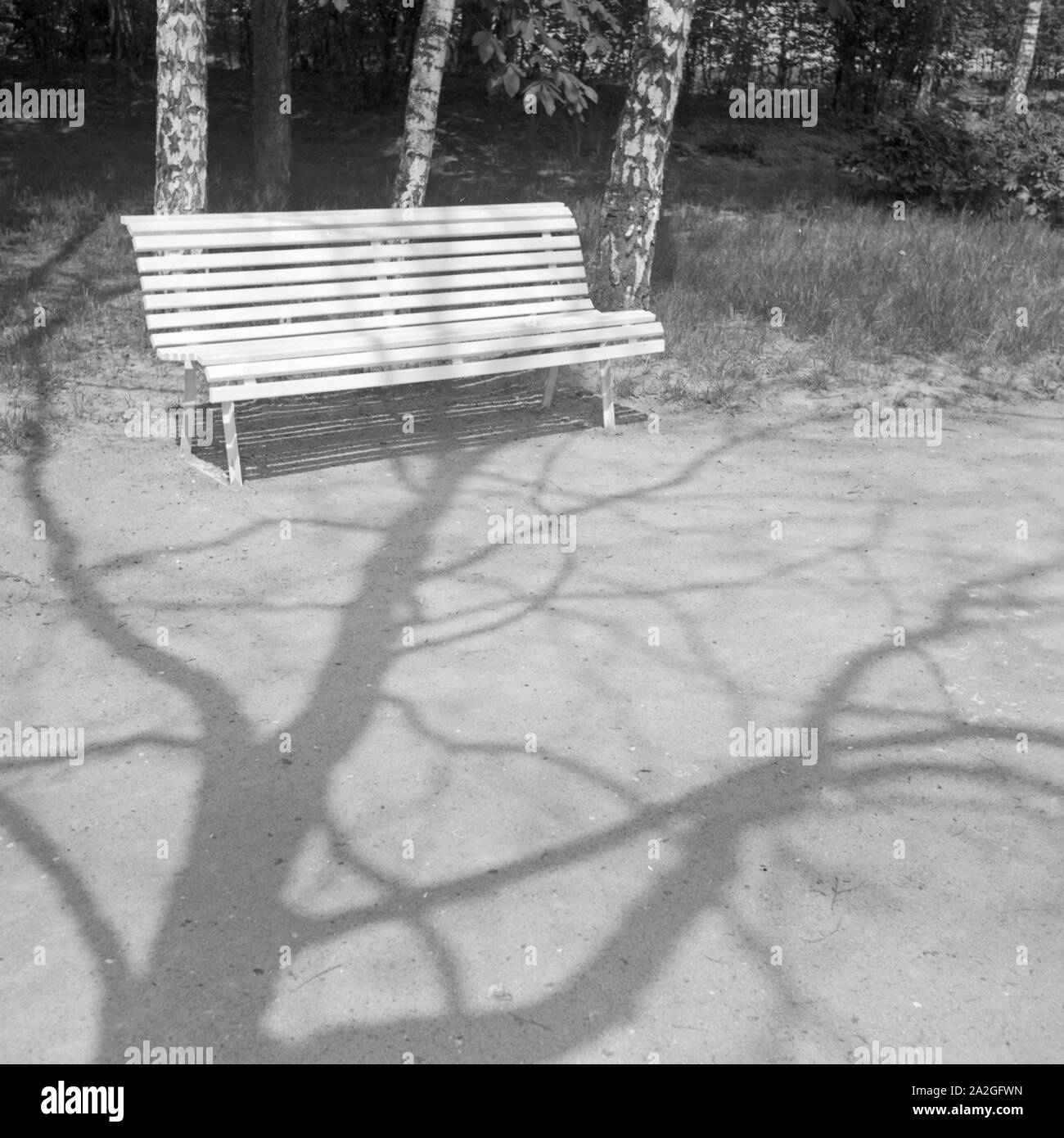 Parkbank in der Sonne, Deutschland 1930er Jahre. Bench at a public garden, Germany 1930s. Stock Photo