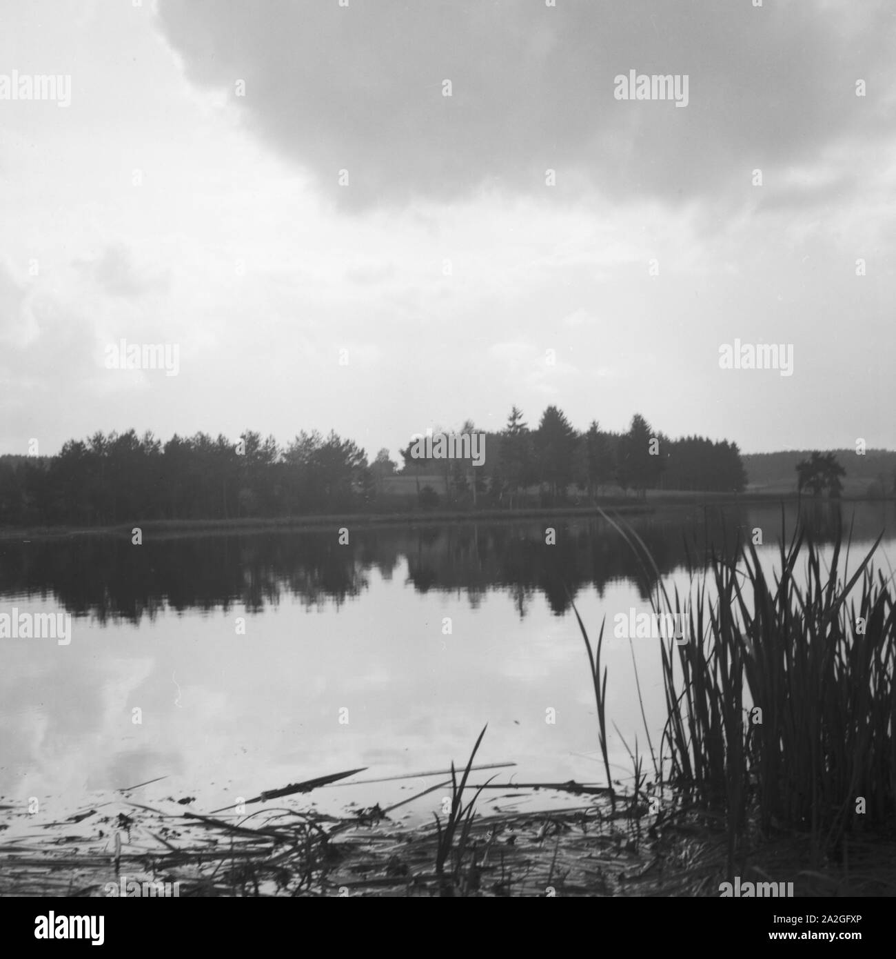 Malerischer See mit Wald, Deutschland 1930er Jahr. Scenic view of a lake with a forest in thebackground, Germany 1930s. Stock Photo
