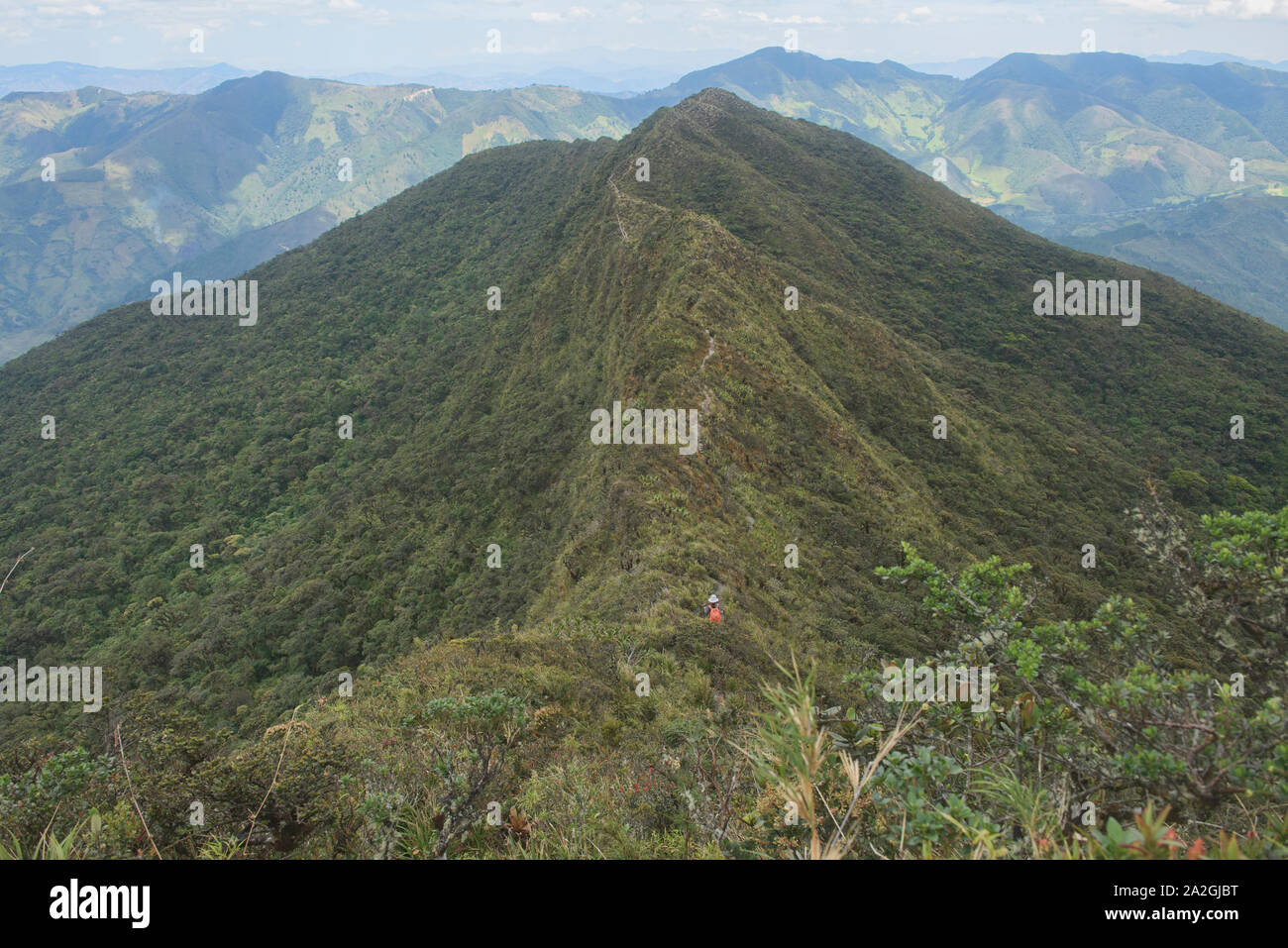 Descending the ridge on the amazing Mirador trail, Podocarpus National Park, Loja, Ecuador Stock Photo