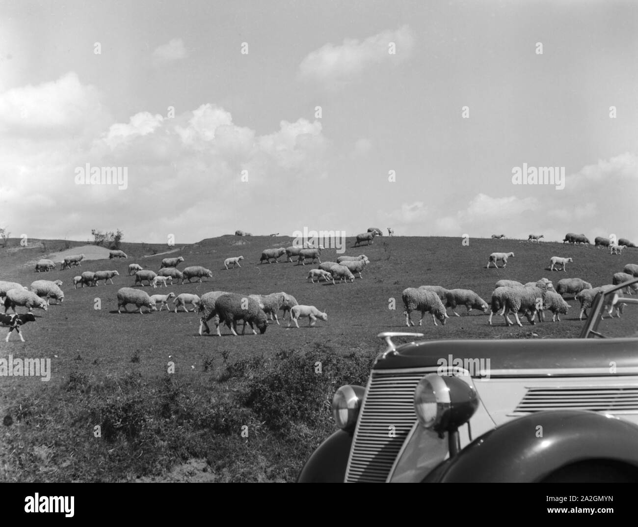 Durch die deutschen Landschaften, Deutschland 1930er Jahre. On thr road through the regions of Germany 1930s. Stock Photo