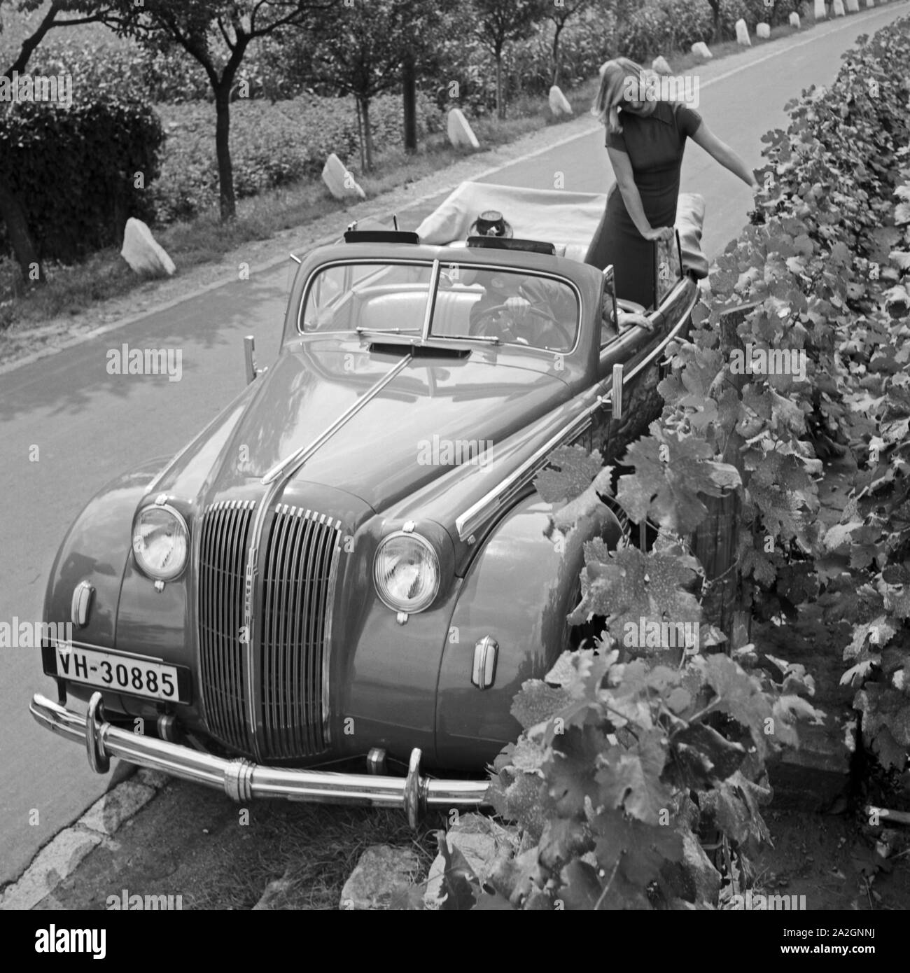Eine junge Frau posiert in einem Opel Olympia Cabrio auf einer Straße vor einem Weinberg, Österreich 1930er Jahre. A young woman posing in an Opel Olympia convertible on a street in front of a vineyard, Austria 1930s. Stock Photo