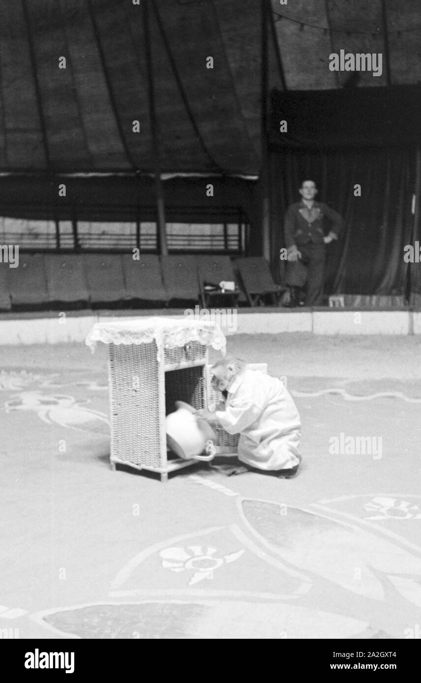 Ein Affe in der Manege in einem Karlsbader Zirkus, Deutsches Reich 1930er Jahre. A monkey in the circus ring in a circus in Karlsbad, Germany 1930s. Stock Photo