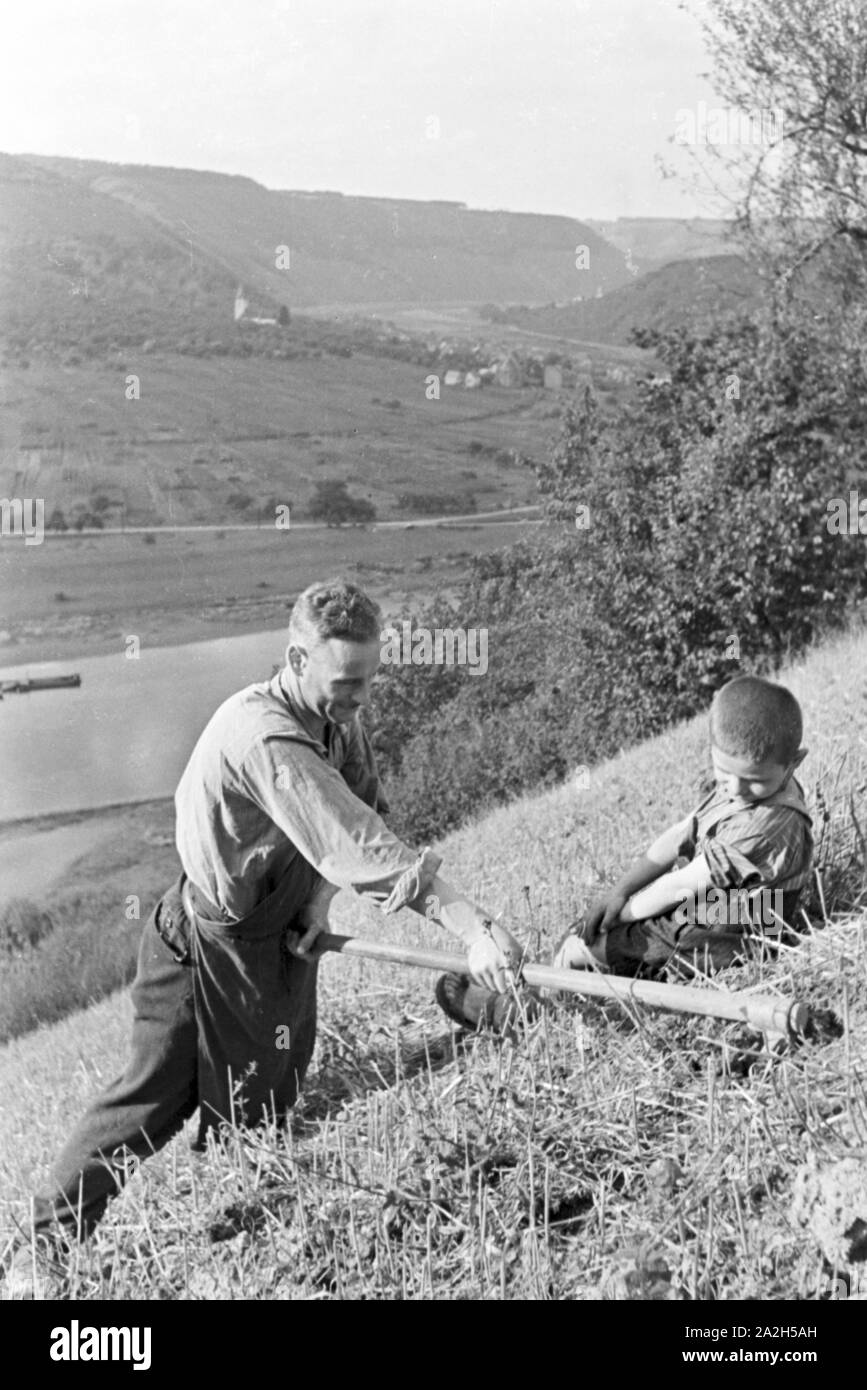 Moselbauer bei der Arbeit im Weinberg, Deutschland 1930er Jahre. Winegrower at work in the vineyard, Germany 1930s. Stock Photo