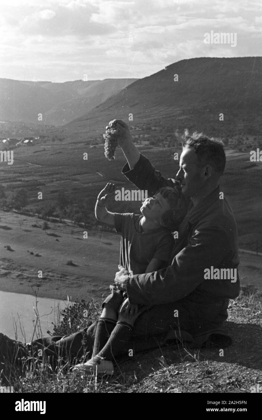 Winzer aus Beilstein bei der Weinlese im Weinberg, Deutschland 1930er Jahre. Winegrower at work in hnis vineyard near Beilstein, Germany 1930s. Stock Photo