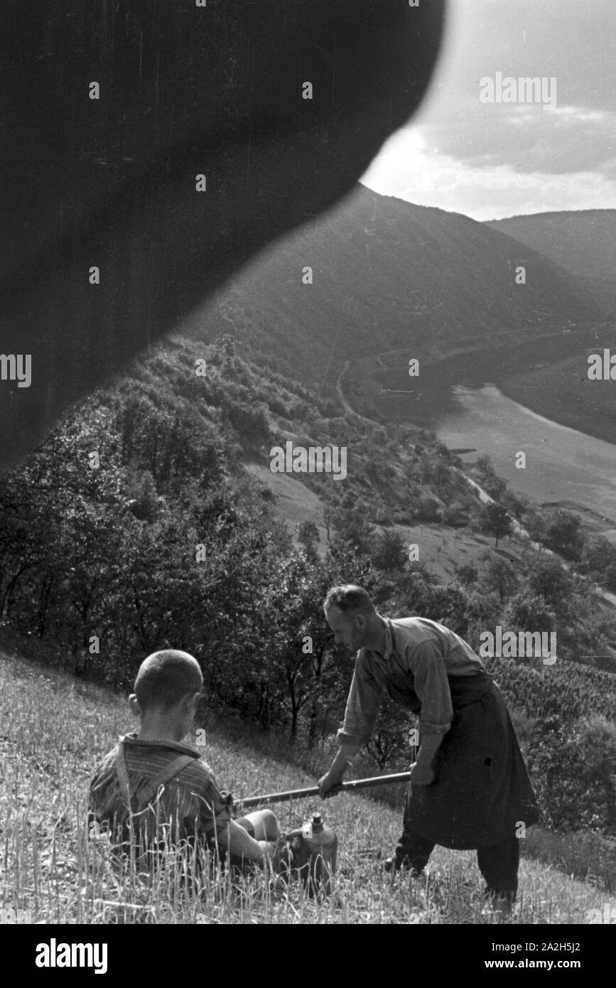 Moselbauer bei der Arbeit im Weinberg, Deutschland 1930er Jahre. Winegrower at work in the vineyard, Germany 1930s. Stock Photo