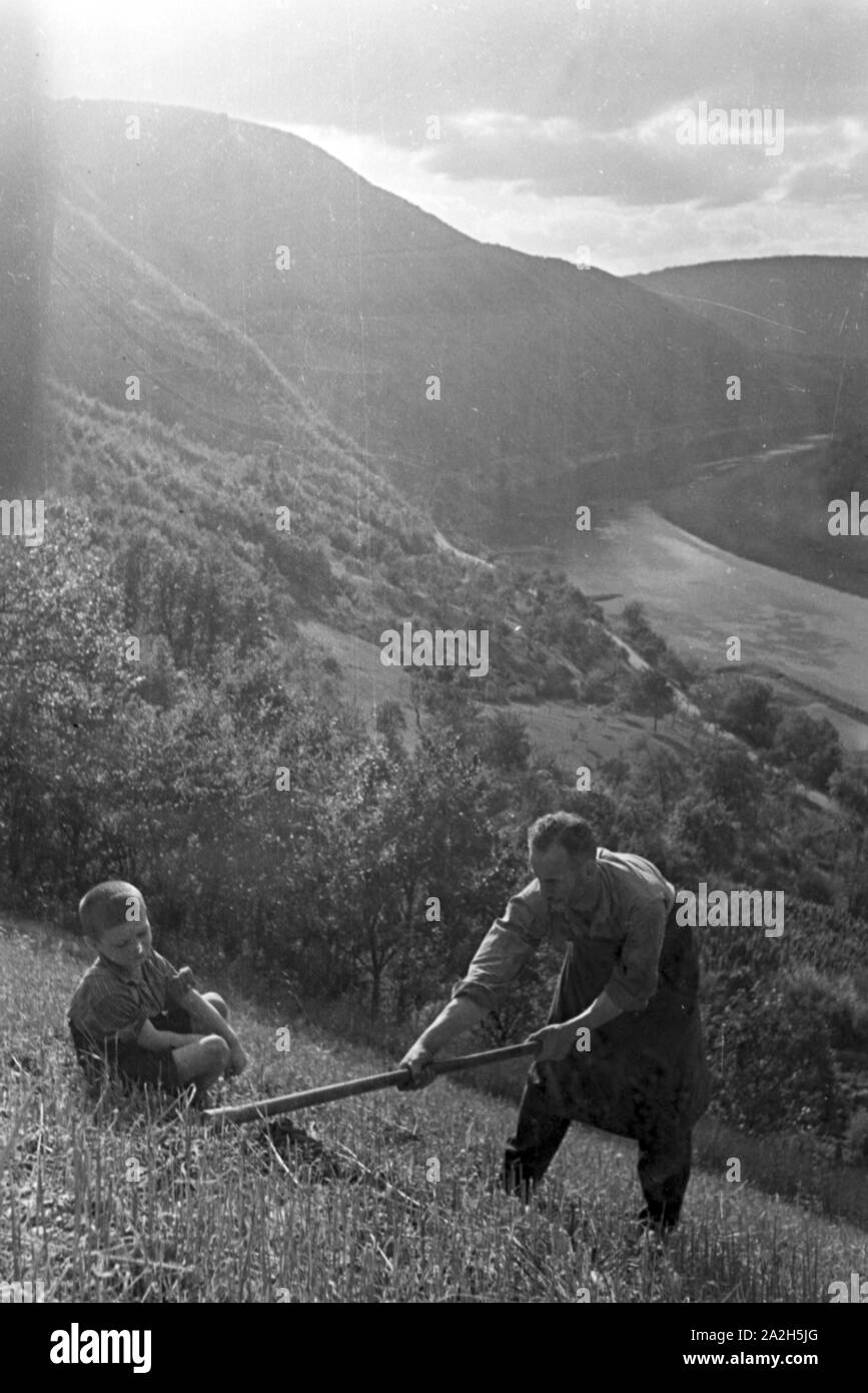 Moselbauer bei der Arbeit im Weinberg, Deutschland 1930er Jahre. Winegrower at work in the vineyard, Germany 1930s. Stock Photo