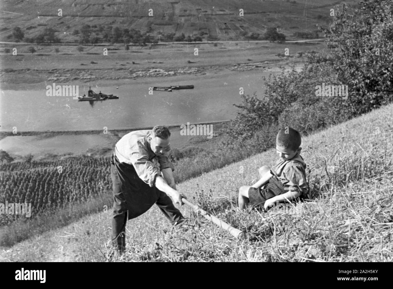 Moselbauer bei der Arbeit im Weinberg, Deutschland 1930er Jahre. Winegrower at work in the vineyard, Germany 1930s. Stock Photo