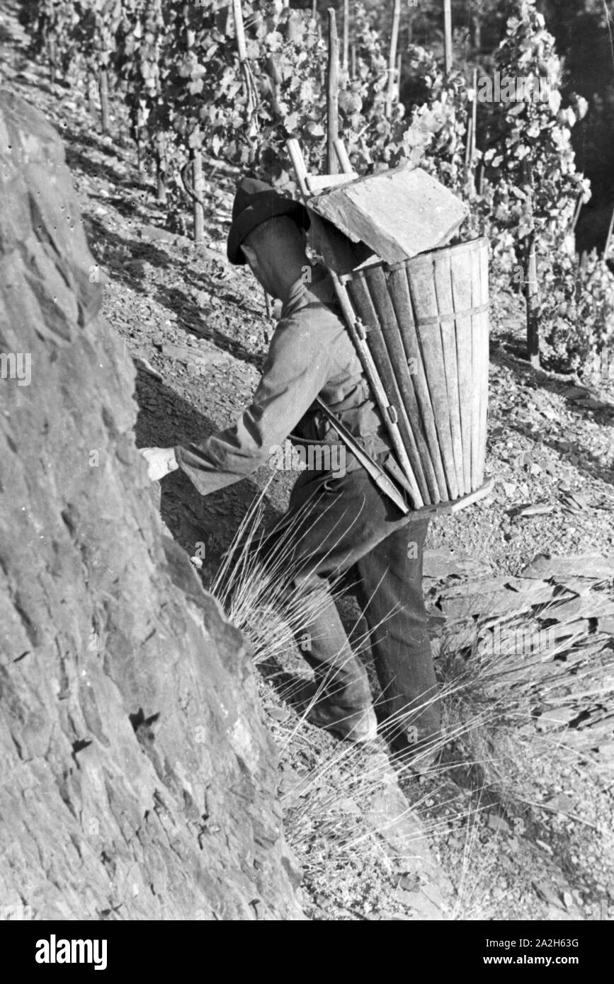Moselbauer bei der Arbeit im Weinberg, Deutschland 1930er Jahre. Winegrower at work in the vineyard, Germany 1930s. Stock Photo