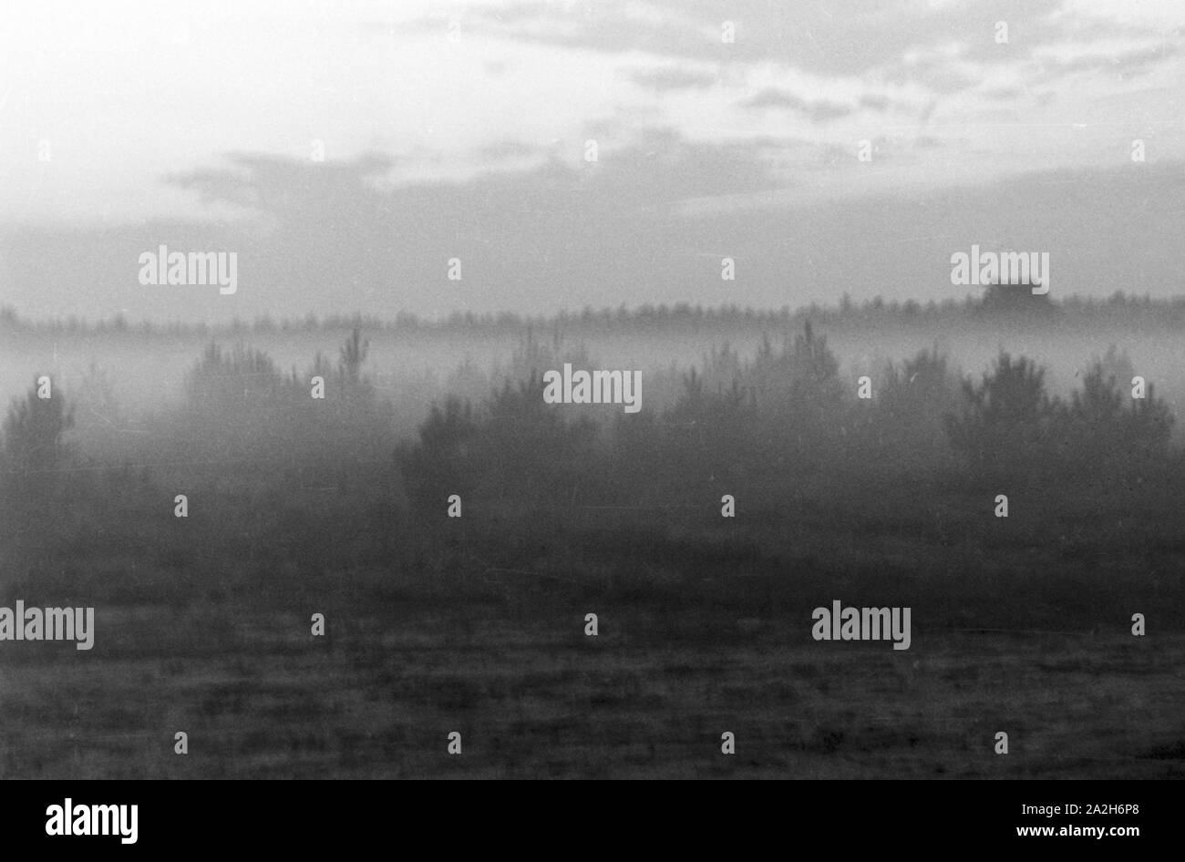 Morgennebel liegt über der Landschaft, Deutschland 1930er Jahre. Morning fog over landscape, Germany 1930s. Stock Photo