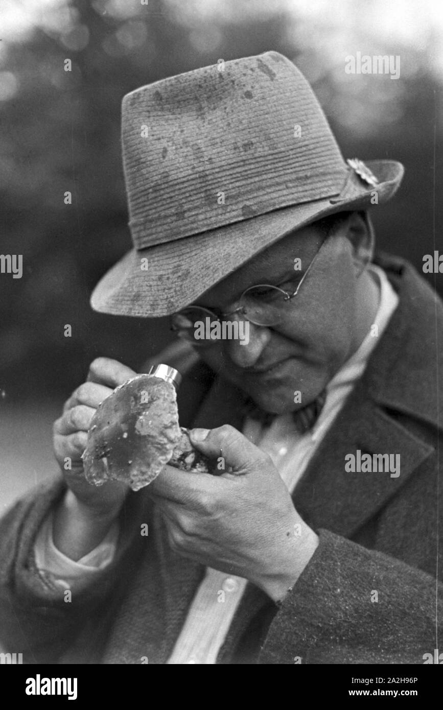 Pilzsammler suchen Champignons im Wald, Deutschland 1930er Jahre. Collectors looking for white mushrooms in the forest, Germany 1930s. Stock Photo