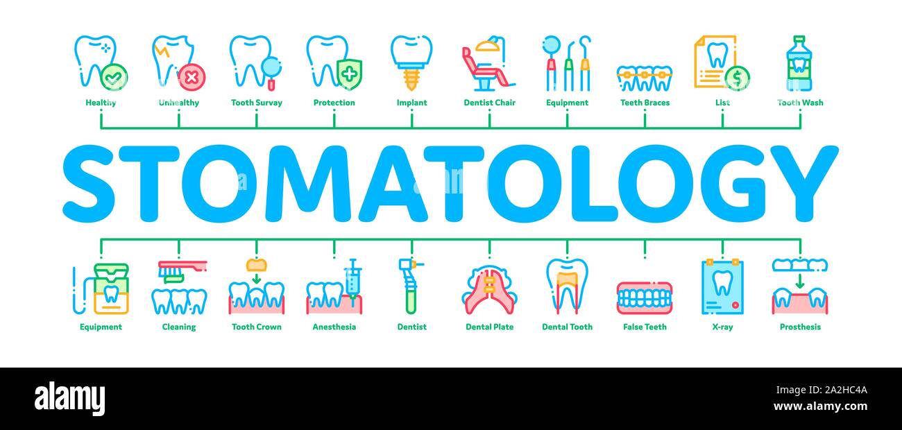 Stomatology Minimal Infographic Banner Vector Stock Vector Image & Art ...