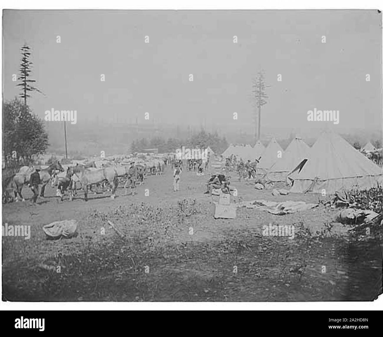 Encampment showing horse stables soldiers and tents Fort Lawton August