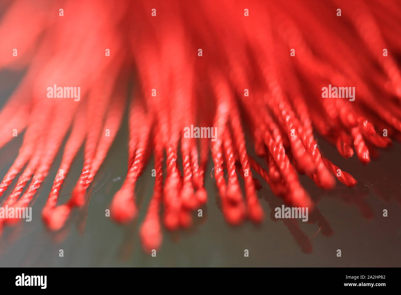 Red strings chinese good luck Stock Photo Alamy