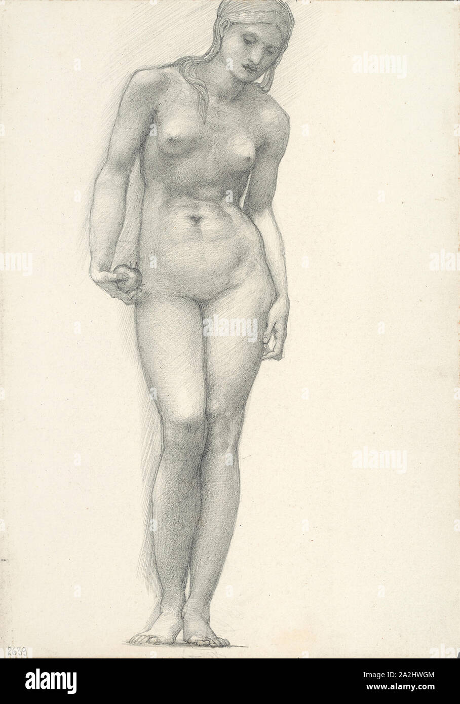 Venus with Golden Apple in Right Hand, for the Troy Triptych (sketchbook #2639), c. 1873–77, Sir Edward Burne-Jones, English, 1833-1898, England, Graphite on ivory wove paper, 254 × 178 mm Stock Photo