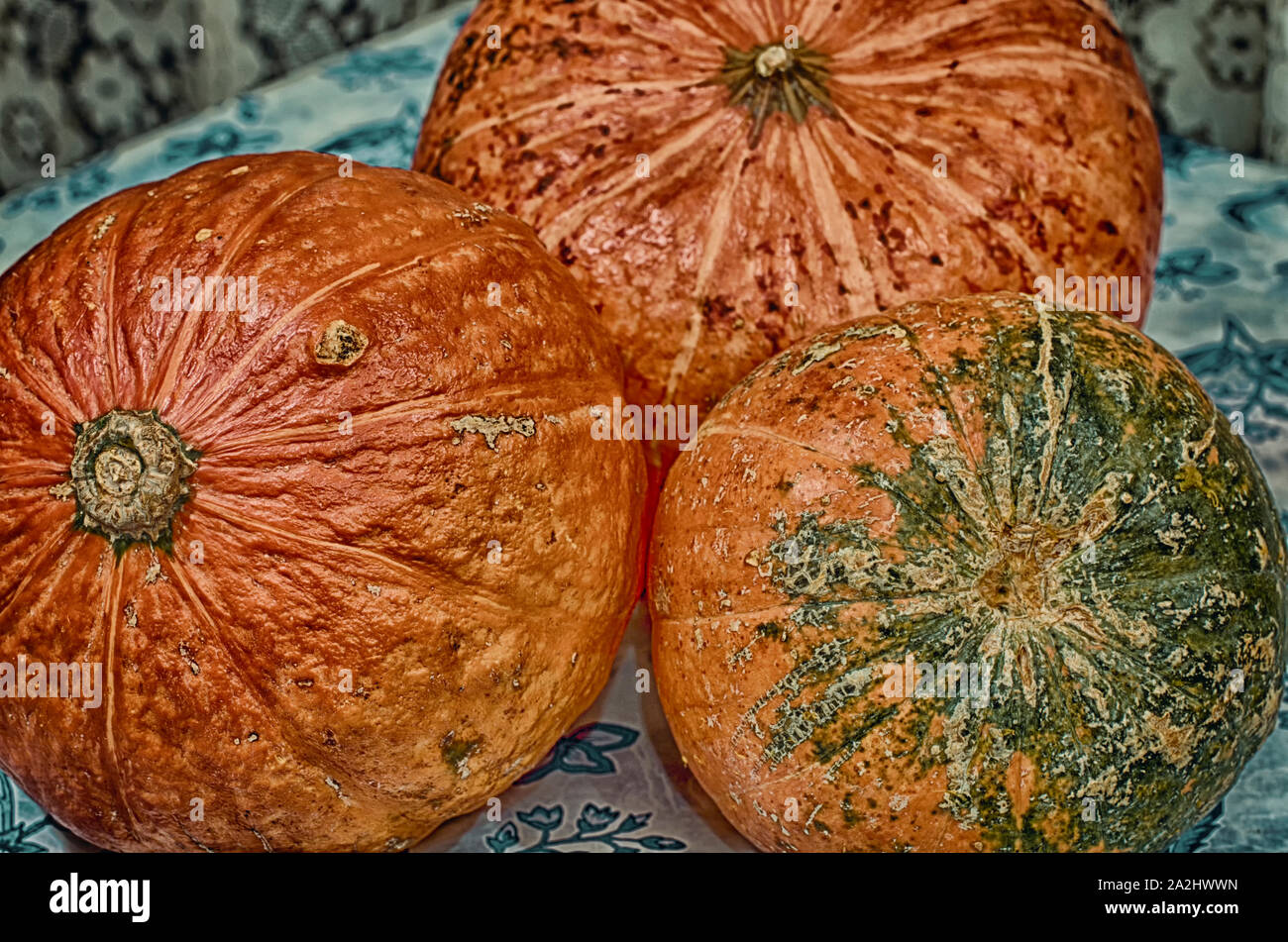 Three bright orange pumpkins with interesting bark structure close-up Stock Photo