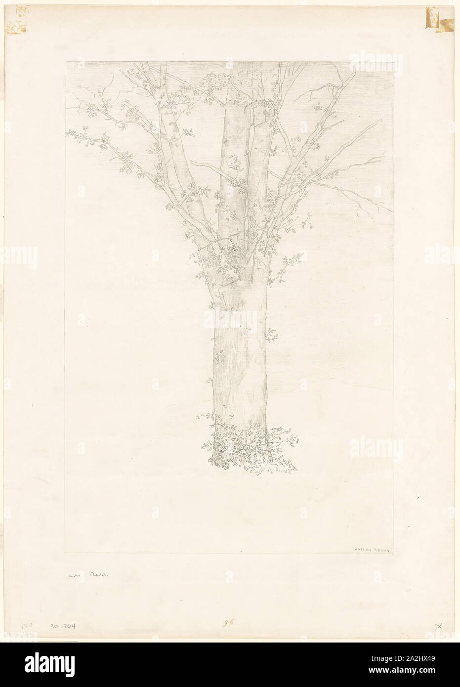 Tree, 1892, Odilon Redon, French, 1840-1916, France, Lithograph on cream China paper, laid down with chine collé on ivory wove paper, 401 × 319 mm (image), 476 × 320 mm (chine), 613 × 431 mm (sheet Stock Photo