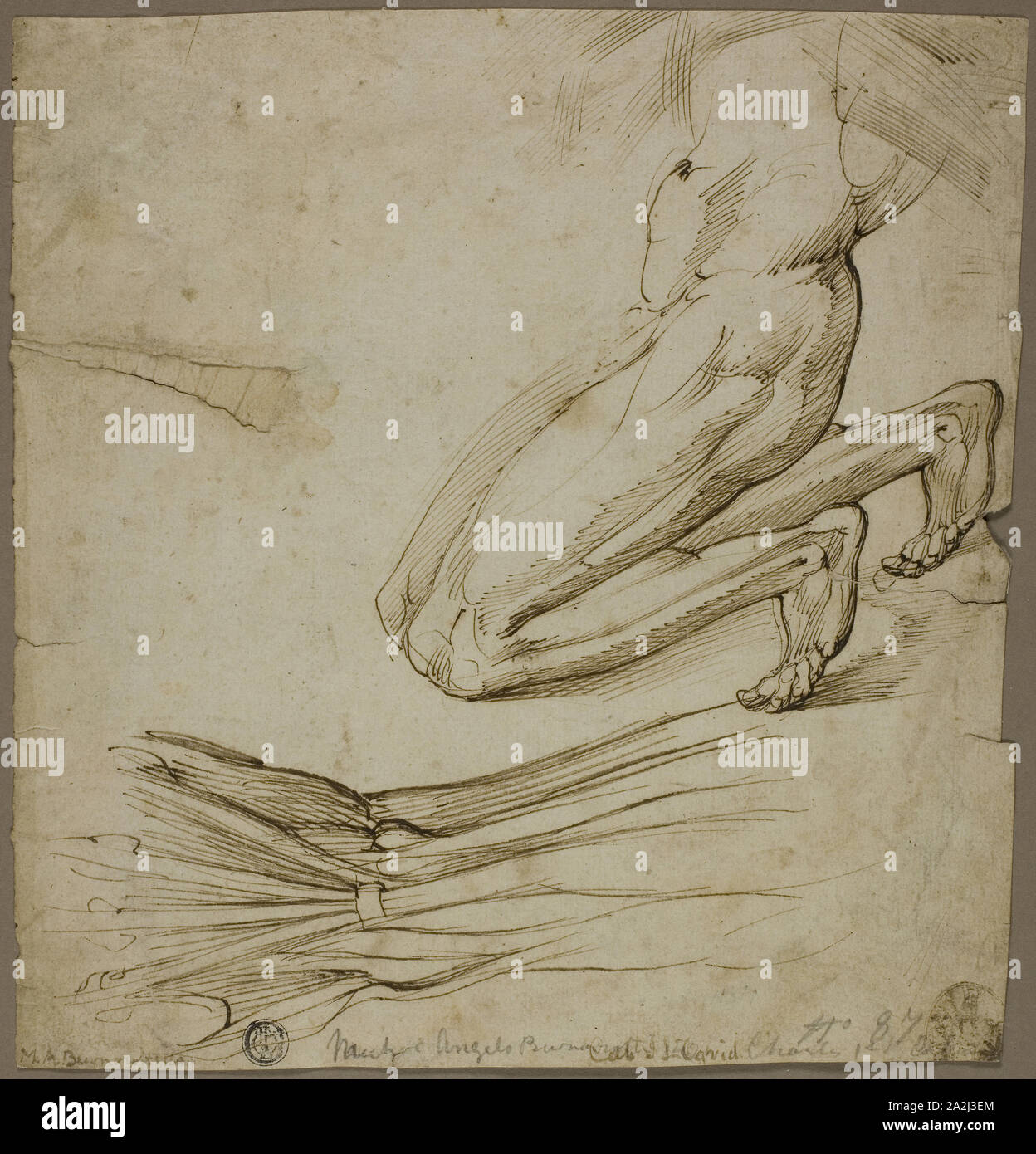 Anatomical Study and Sketch of Kneeling Figure, n.d., Follower of Michelangelo Buonarroti, Italian, 1475-1564, Italy, Pen and brown ink on ivory laid paper, 228 x 219 mm (max Stock Photo