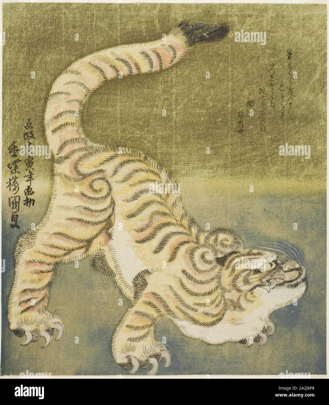 Crouching tiger, 1830, Utagawa Kunisada I (Toyokuni III), Japanese 
