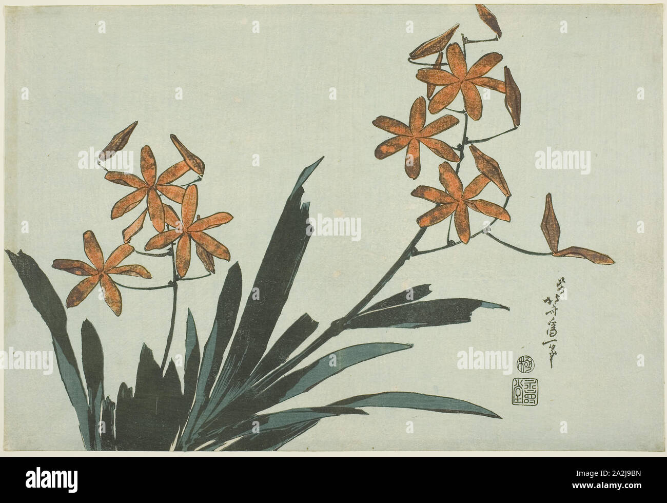 Orange Orchids, from an untitled series of flowers, c. 1832, Katsushika Hokusai 葛飾 北斎, Japanese, 1760-1849, Publisher: Hibino Yohachi, Japanese, unknown, Japan, Color woodblock print, oban, 25.5 x 37.7 cm (10 x 14 1/2 in Stock Photo