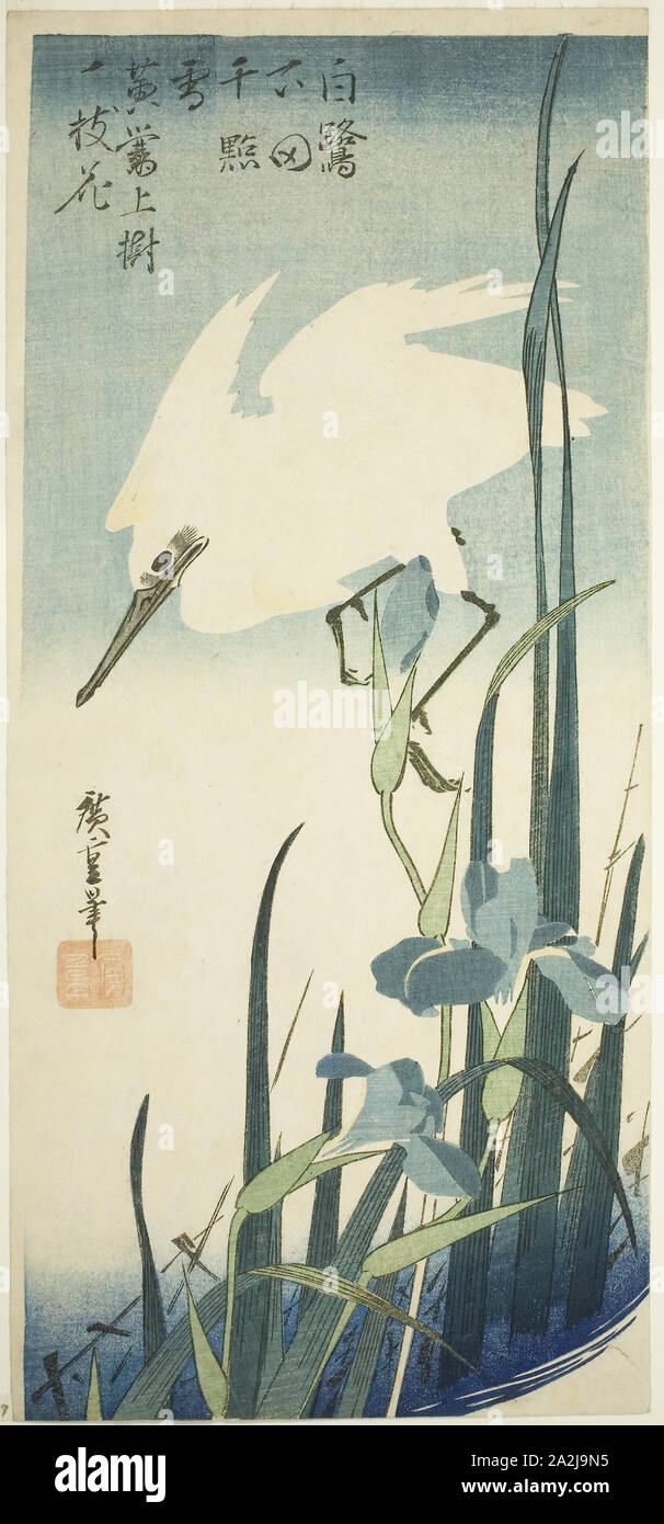 White heron and iris, c. 1832/34, Utagawa Hiroshige 歌川 広重, Japanese, 1797-1858, Japan, Color woodblock print, otanzaku, 38.4 x 17.5 cm (15 x 6 7/8 in Stock Photo