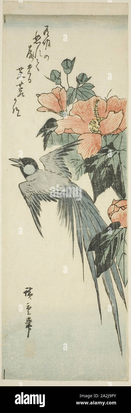 Kitao Shigemasa 北尾重政 | True Depictions of Bird and