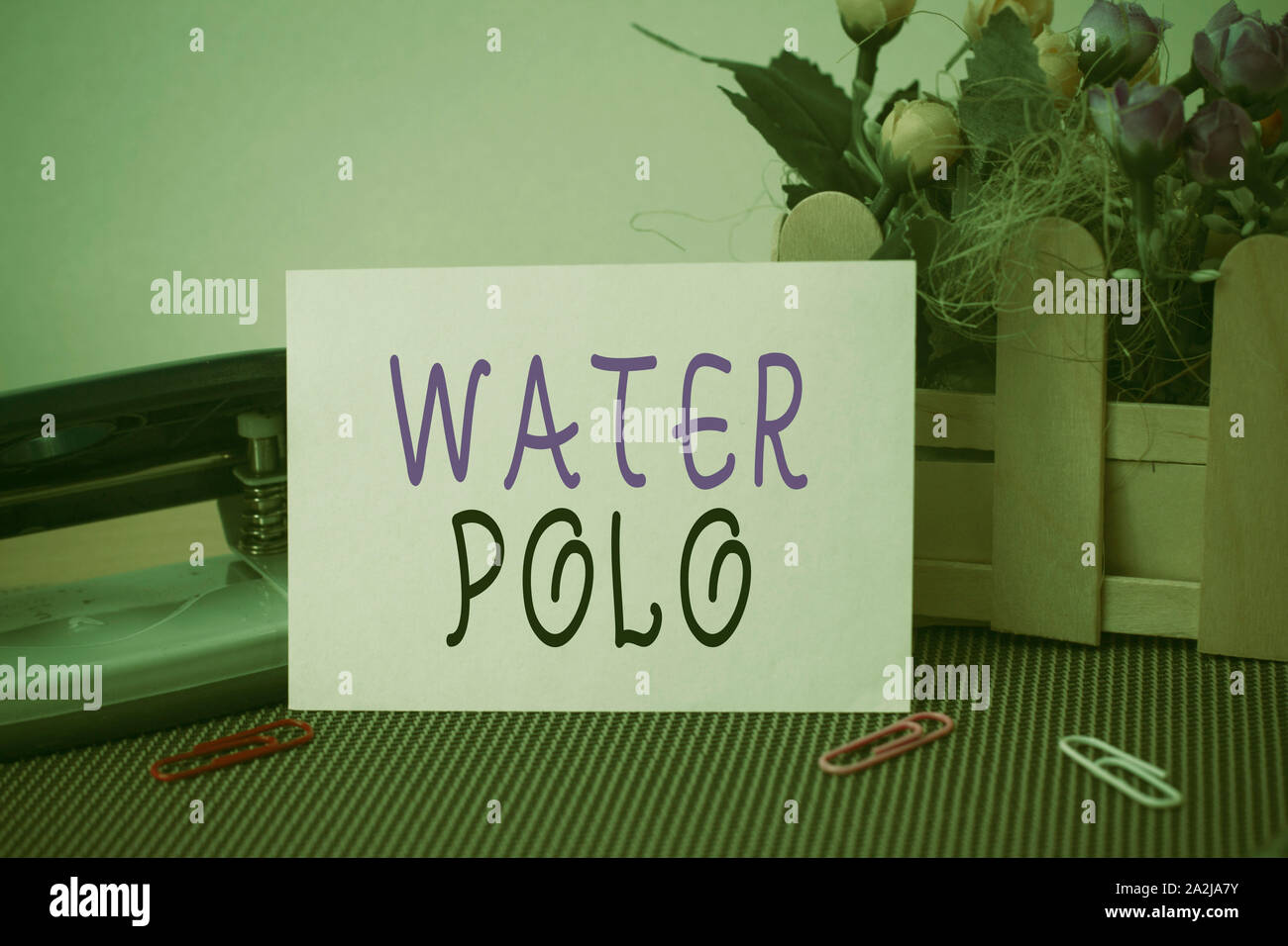 Text sign showing Water Polo. Business photo text competitive team sport played in the water between two teams Flowers and writing equipments plus pla Stock Photo
