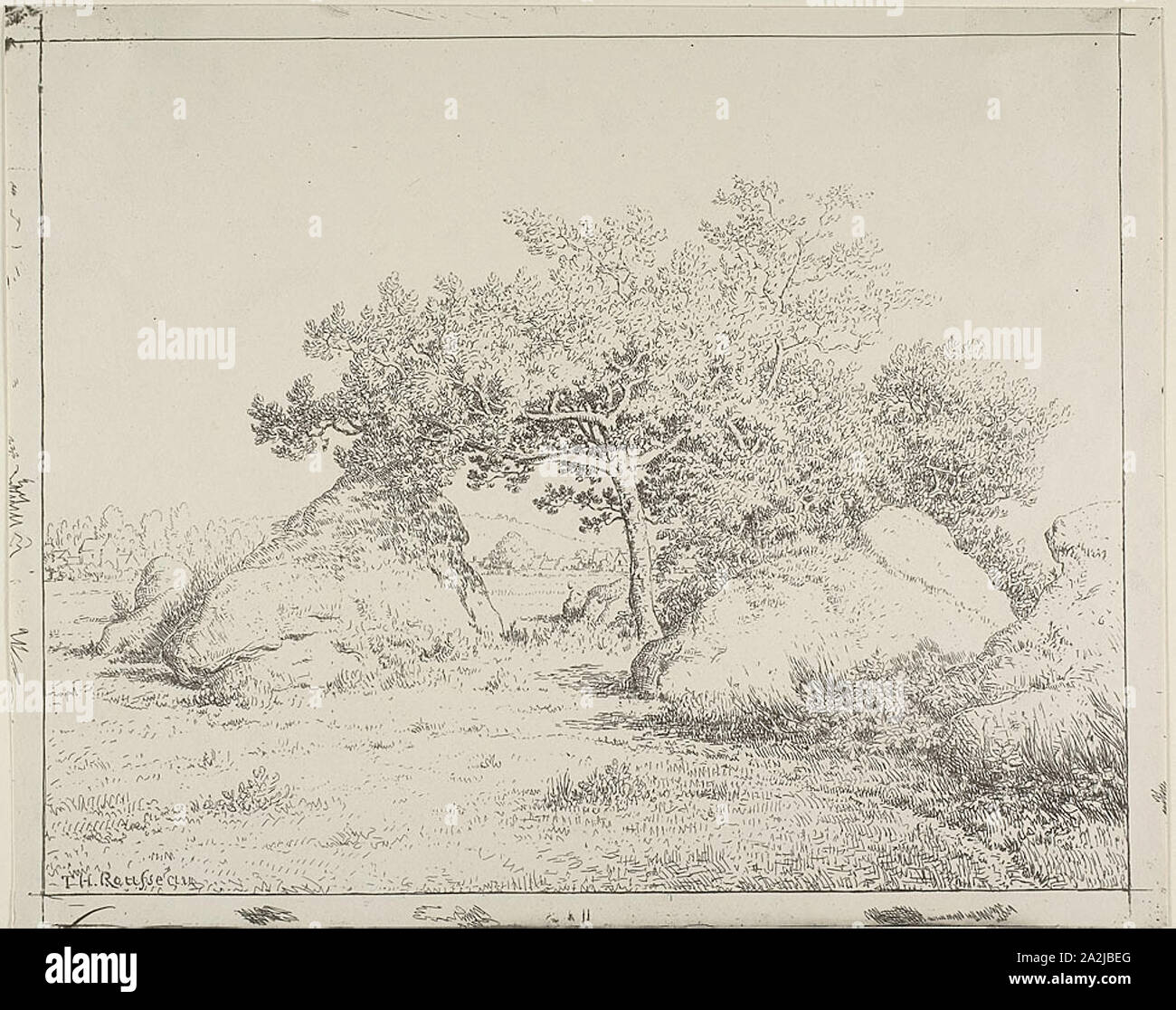 Cherry Tree at Plante à Biau, 1862, Théodore Rousseau, French, 1812-1867, France, Cliché-verre on ivory wove paper, 235 × 295 mm (image), 235 × 295 mm (sheet Stock Photo