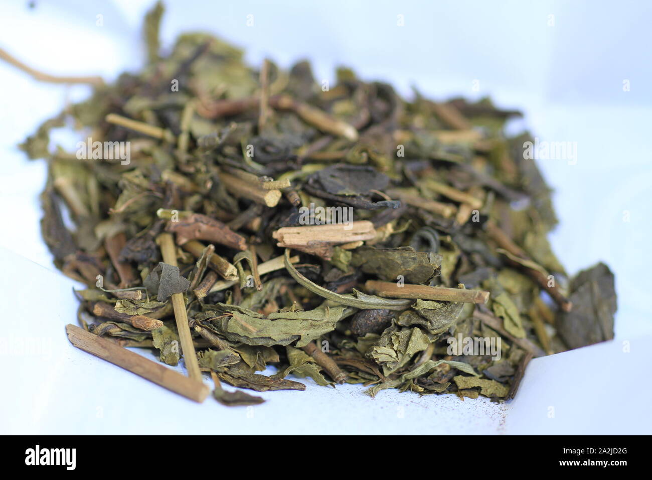 Fresh Indonesian green tea leaves under close up macro lens Stock Photo