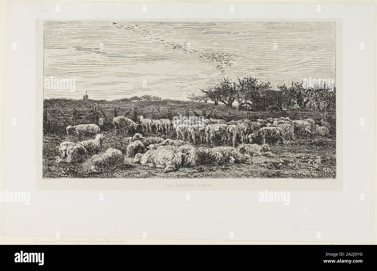 Meadow with sheep, 1860, Charles François Daubigny, French, 1817-1878, France, Etching on light gray chine laid down on white wove paper, 183 × 343 mm (image), 220 × 376 mm (plate), 274 × 434 mm (sheet Stock Photo