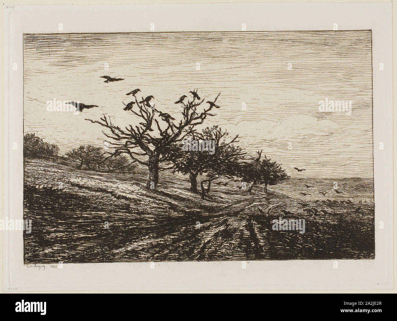 Crows In A Tree 1867 Charles Francois Daubigny French 1817 1878 France Etching On Paper 180 275 Mm Stock Photo Alamy alamy