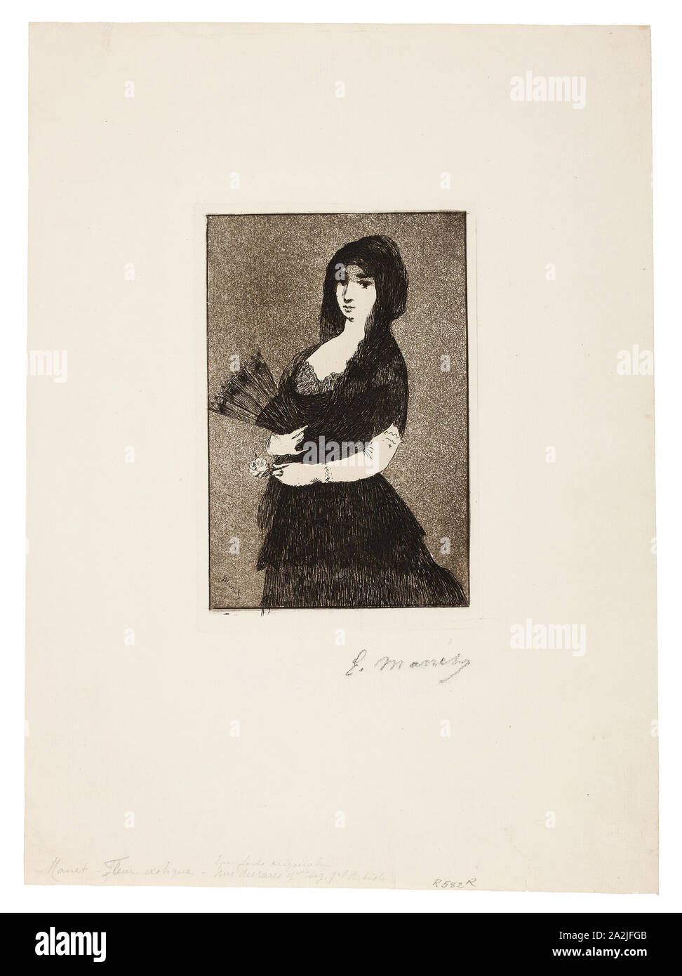 Exotic Flower (Woman in a Mantilla), 1868, Édouard Manet (French, 1832-1883), published by Philippe Burty (French, 1830-1890), written by Armand Renaud (French, 1836-1895), France, Etching and aquatint in warm black on ivory laid paper, 162 × 106 mm (image), 175 × 116 mm (plate), 353 × 257 mm (sheet Stock Photo