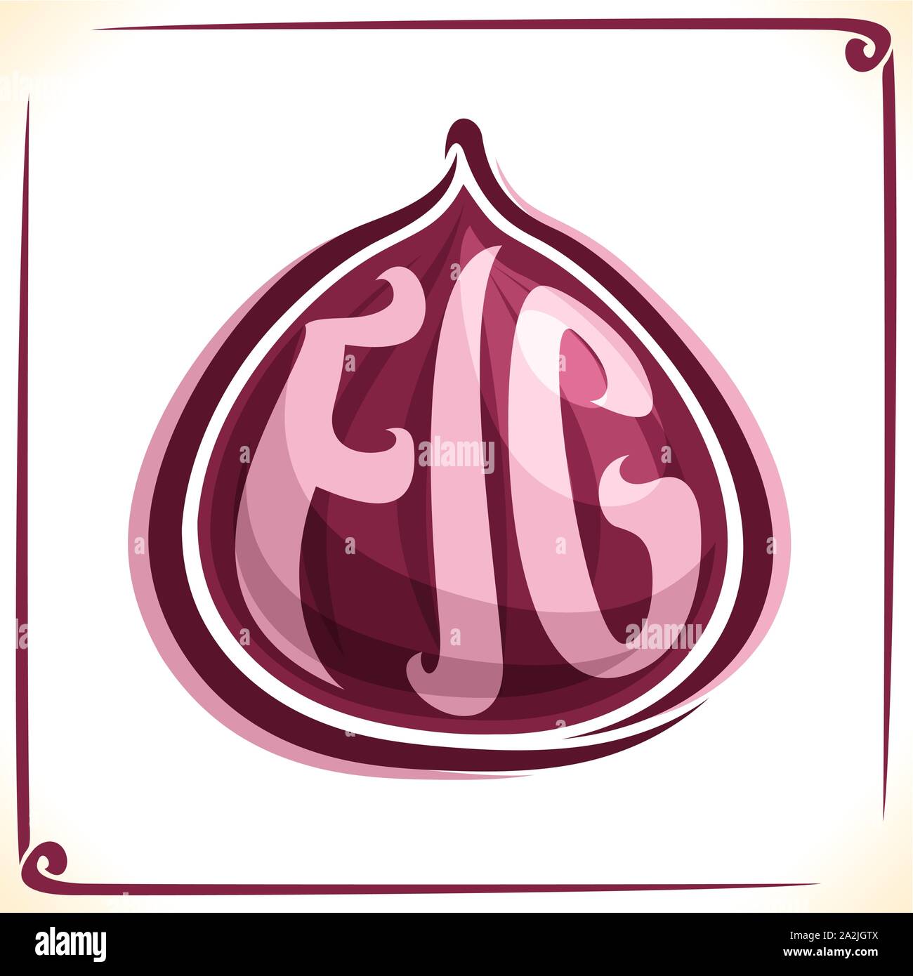 Vector logo for purple Fig, label with drawn of one whole fruit for