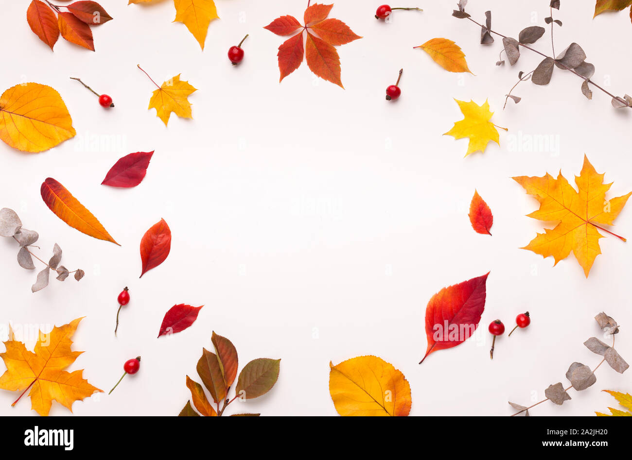 Colorful fallen leaves forming hi-res stock photography and images - Alamy