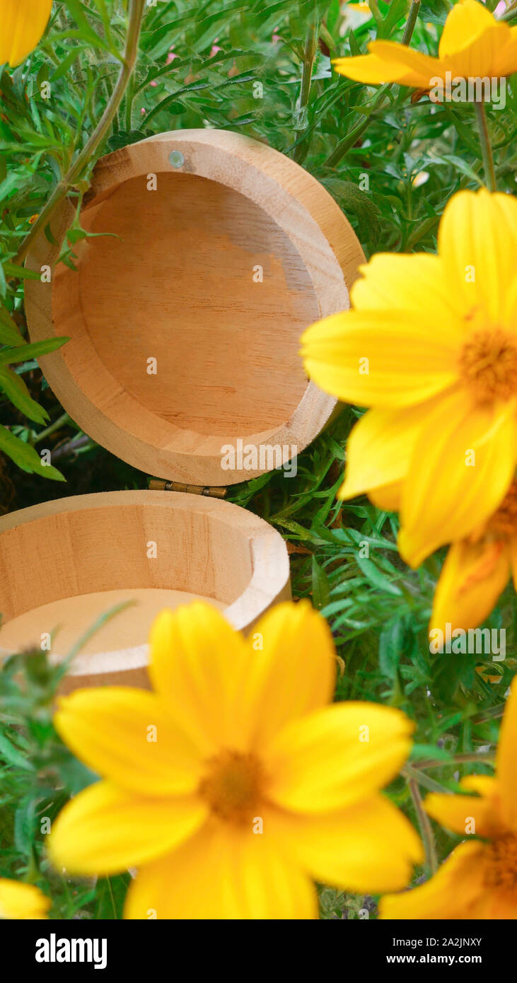 Download Open Round Wooden Box Surrounded By Yellow Flowers Stock Photo Alamy Yellowimages Mockups