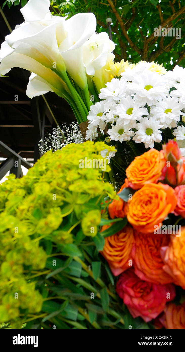 Four types of decorative flowers Stock Photo Alamy