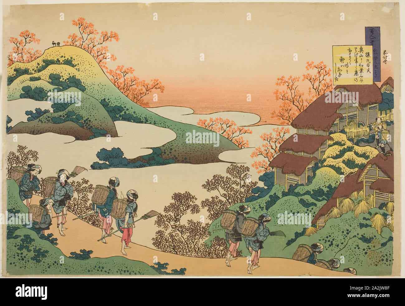 油絵 風景画 ✡️ サルスベリ② P10【8月】