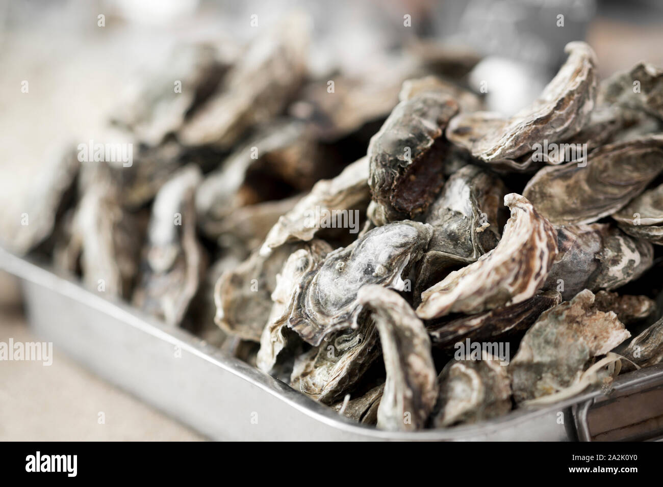 Close up of fresh oysters in big plate for sale outdoor Stock Photo
