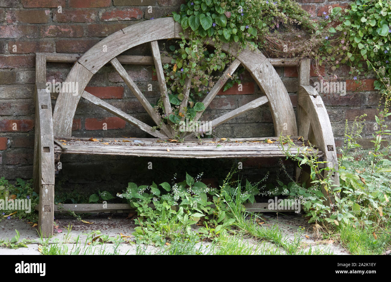 Handcrafted wooden bench with ivy and brick wall Stock Photo - Alamy
