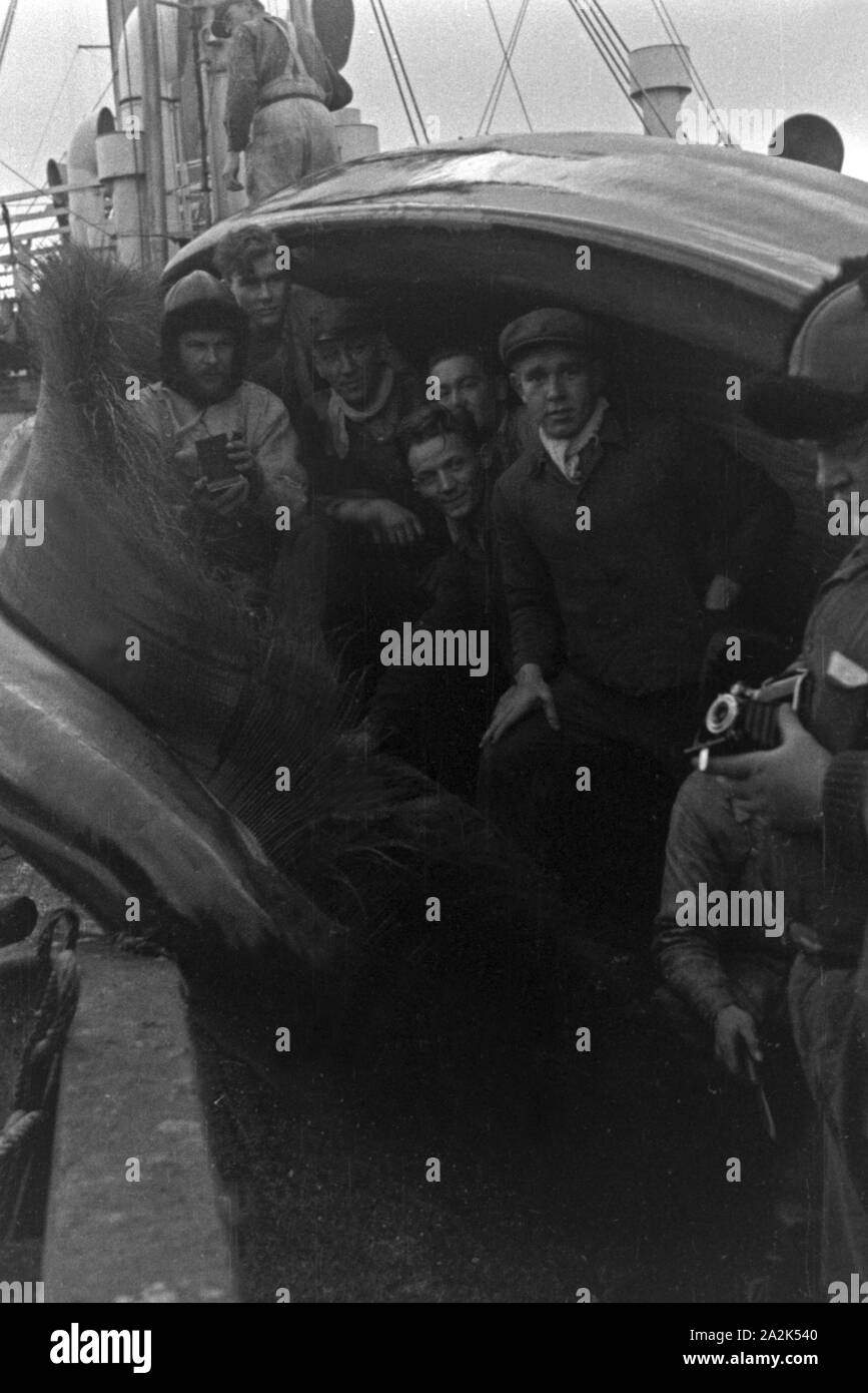 Die Männer des Fabrikschiffs 'Jan Wellem' der deutschen Walfangflotte posieren im Maul des Kadavers eines Wals, 1930er Jahre. The crew of a factory vessel of the German whaling fleet is posing in the mouth of the cadaver of a hunted down whale, 1930s. Stock Photo