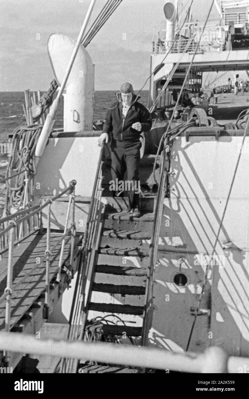 Mitglied der Besatzung auf einem Fabrikschiff der deutschen Walfangflotte, 1930er Jahre. Crew member of a factor vessel of the German whaling fleet, 1930s. Stock Photo