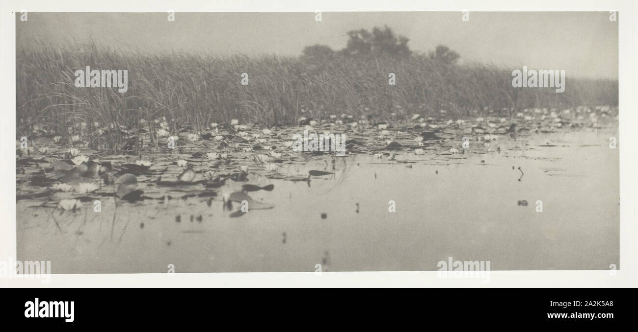 Water-Lilies, 1886, Peter Henry Emerson, English, born Cuba, 1856–1936, England, Platinum print, pl. VIII from the album 'Life and Landscape on the Norfolk Broads' (1886), edition of 200, 12.3 × 28.5 cm (image/paper), 28.6 × 41 cm (album page Stock Photo