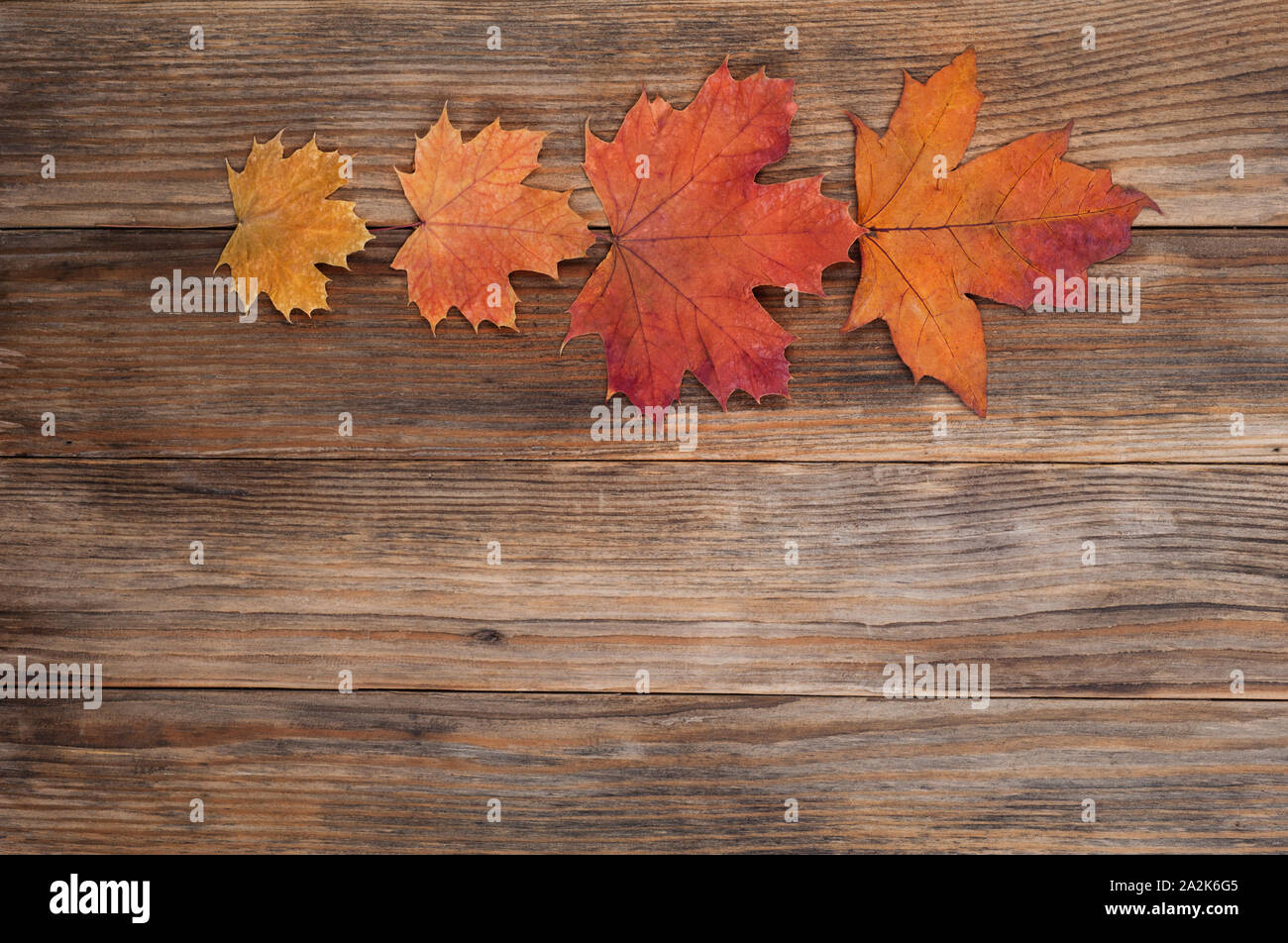 Autumn leaves  over old wooden background with copy space.Creative autumn composition.Minimalism.Flat lay,horizontal. Stock Photo
