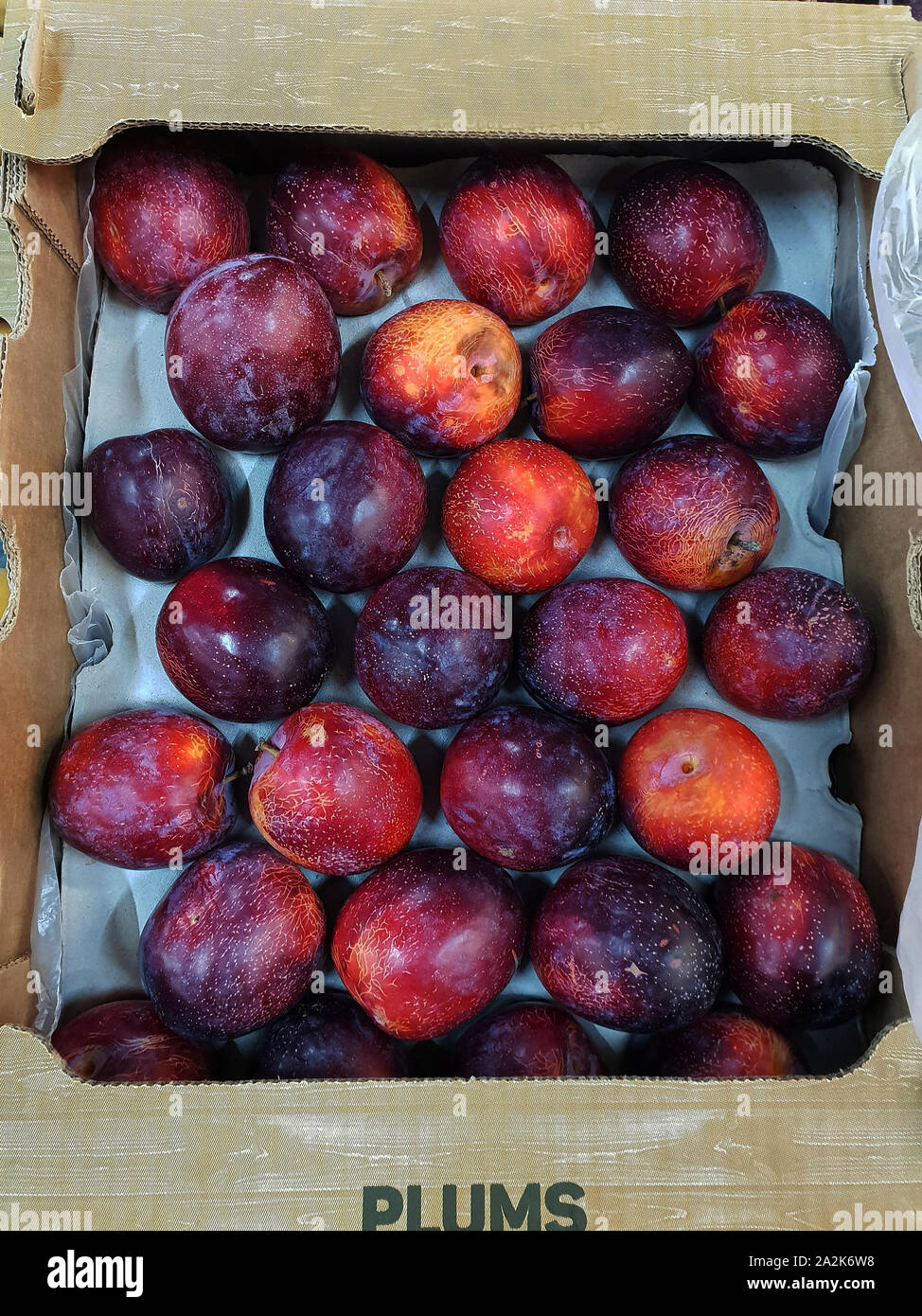 Fruit and vegetable aisle in a Pick n Pay supermarket, South Africa Stock  Photo - Alamy