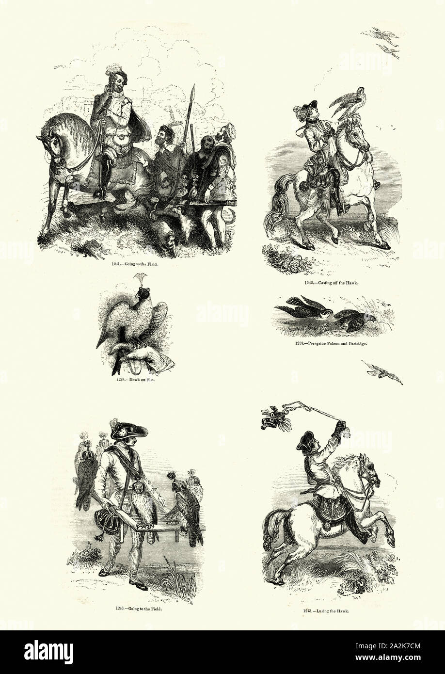 Vintage engraving of History of Falconry, Falconers hunting with hawks, 18th Century Stock Photo