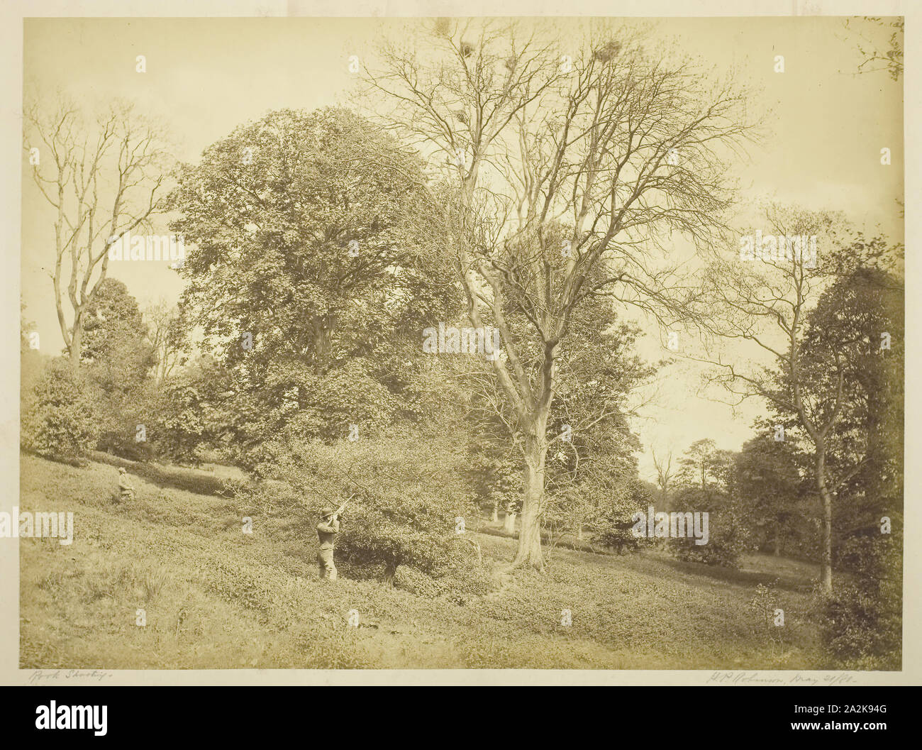 Rook Shooting, May 21, 1881, Henry Peach Robinson, English, 1830–1901, England, Albumen print, 27.6 × 37.2 cm (image/paper), 36.4 × 51.8 cm (mount Stock Photo