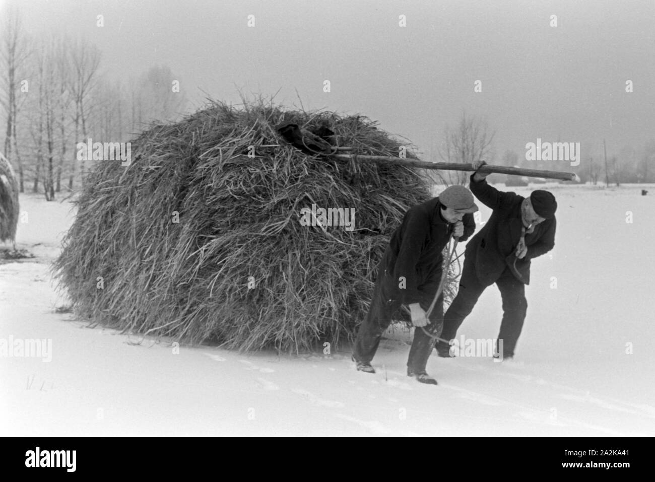 Zwei Männer holen Feuerholz aus dem Spreewald, Deutschland 1930er Jahre. Two man pulling firewood from a Spreewald forest, Germany 1930s. Stock Photo