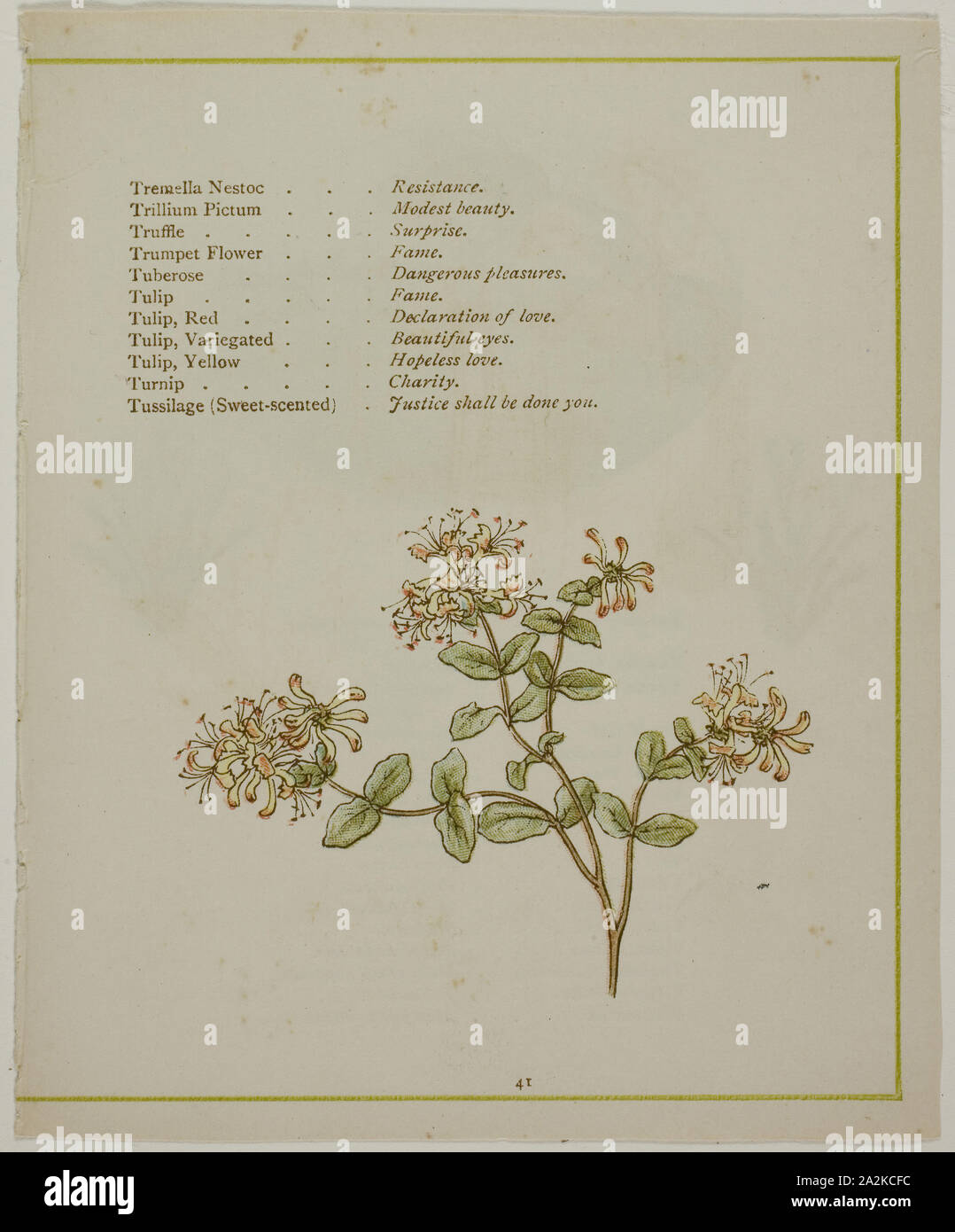 Valerian Through Volkamenia, from The Illuminated Language of Flowers, published 1884, probably Edmund Evans (English, 1826-1905), after Kate Greenaway (English, 1846-1901), printed by Edmund Evans, England, Color wood engraving (chromoxylograph) reproduction of a watercolor on paper Stock Photo