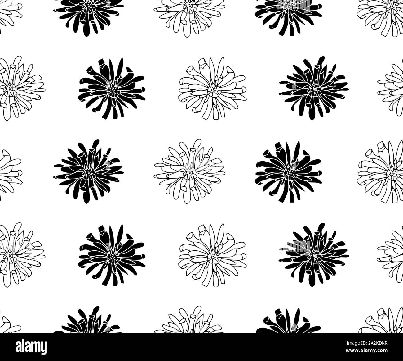 Vector seamless botanical pattern with hand drawn chrysanthemum flowers isolated on a white background. Endless texture. Contour and silhouette. Wrapp Stock Vector